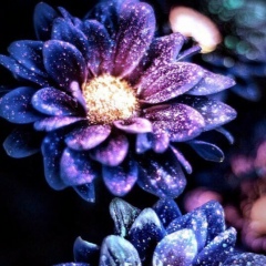 Taxmina Aysaeva, 26.08, Алматы