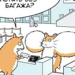 Святослав Жолудев, Псков