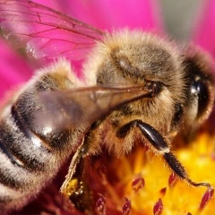 Юлия Осипова, 30.11, Новосибирск