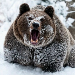 Гуджа Хецадзе, 01.02, Сочи