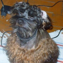 Наталья Бридель, 18.08, Санкт-Петербург