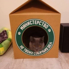Алина Туманова, 03.03, Казань