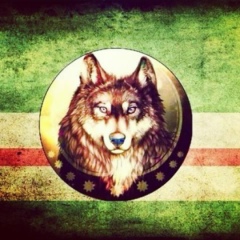 Салах Мехтиев, 14.11.1998, Грозный