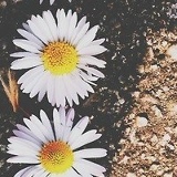 Loan Girac, 15.04.1999, Marseille