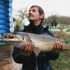 Саша Mindscan, 14.01, Зеленоград