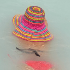 Наталья Синегина, 08.07, Днепр (Днепропетровск)