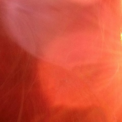 Настя Гоголь, 17.01.1993, Киев