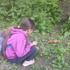 Светлана Доскаль, Санкт-Петербург