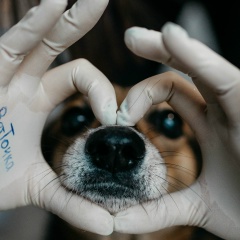 Ветточка Псков, 18.05.1990, Псков