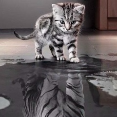 Максим Крайнов, 17.09.1976, Санкт-Петербург