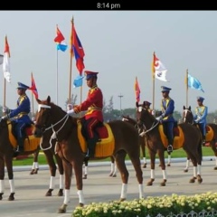 Tomato Tomato, 04.02.1980