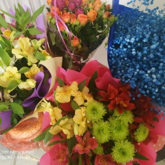 Зера Бештиева