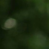 Seda Hayrapetyan, Ереван