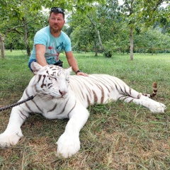 Денис Денисов, Москва