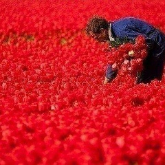 Ислам Эргашев, 25.01, Berlin