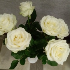 Марина Логунова