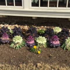 Екатерина Евтушенко, 02.06, Сургут