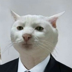 Юрий Алексеевич, Михайловка