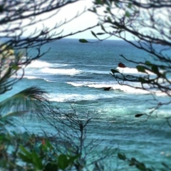 Анна Кузьминых, 12.11.1982, Москва