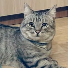 Лариса Котова, 10.05, Санкт-Петербург