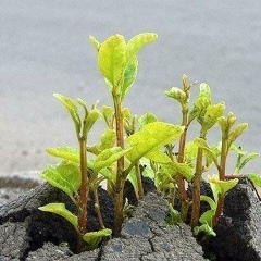 Сергей Терешин, 05.07.1985, Самара