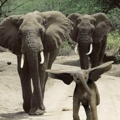 Ася Джанкёзова, 16.03.1993