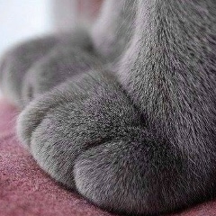 Moldir Sabyrkyzy, 30.12.1988, Кульсары