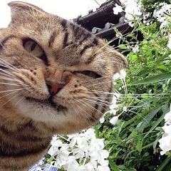 Мерген Бурлыков, 01.03.1982, Элиста