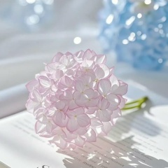 Алена Доржеева, 16.03, Улан-Удэ