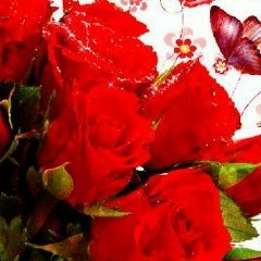 Бакытгул Бекешова, 18.12.1994, Байконур