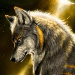 Равиль Нуриев, 18.02, Antalya