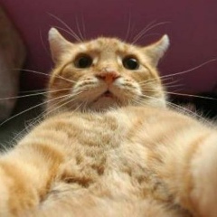 Никита Попов, 24.02.1987, Белгород