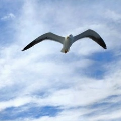 Александр Калашников, 14.06.1991, Омск