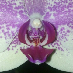 Александр Юхименко, 05.07, Санкт-Петербург