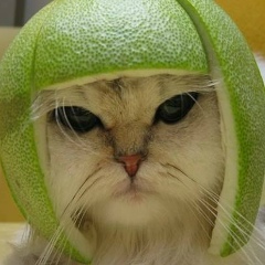 Руслан Хуснутдинов, 27.05, Новосибирск