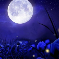 Ксюша Мандыш, Усинск