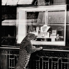 Луиза Курбанова, 30.06, Шымкент