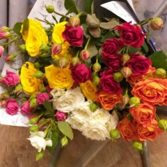 Dilya Abulhairova, 13.03.1991, Алматы