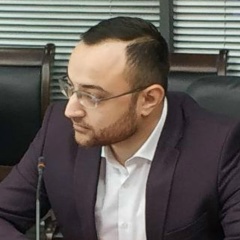 Эльшан Мамедов, 02.06, Минск