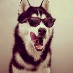 Даулет Утегенов, 20.09, Алматы