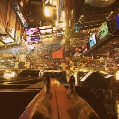 Исламбек Насипкалиев, 06.08.1992, Атырау