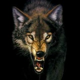 Ильхам Ренатов, 26.06.2001, Алматы