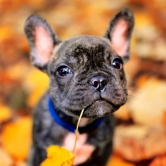 Юлия Мезенцева, 03.01.1983