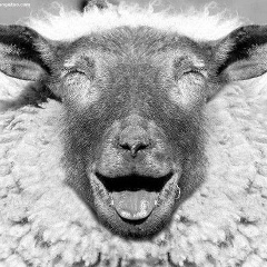 Андрей Кастрюхин, 19.04.1984, Санкт-Петербург