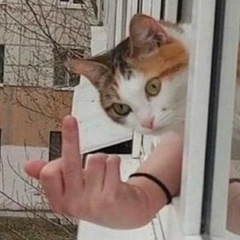 Алексей Галигров, 26.03.1982, Písek