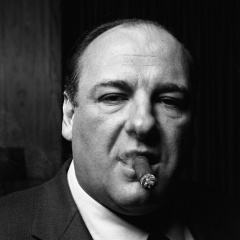 Тони Сопрано, 05.05.2007, Тула