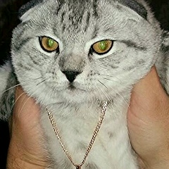 Полина Позднякова, 12.08, Арсеньев