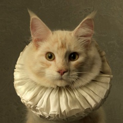 Елизавета Большакова, 11.01.1993, Москва