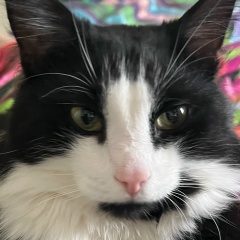 Катя Д, 18.10, Электросталь