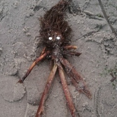 Евгений Грищенко, 04.02.1983, Калининград